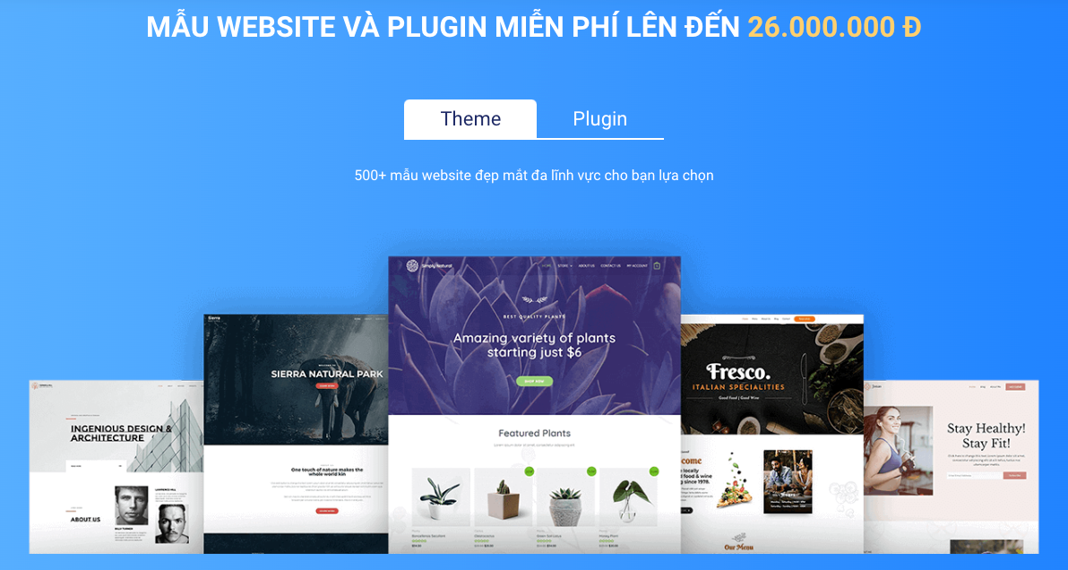 Mẫu website và Plugin